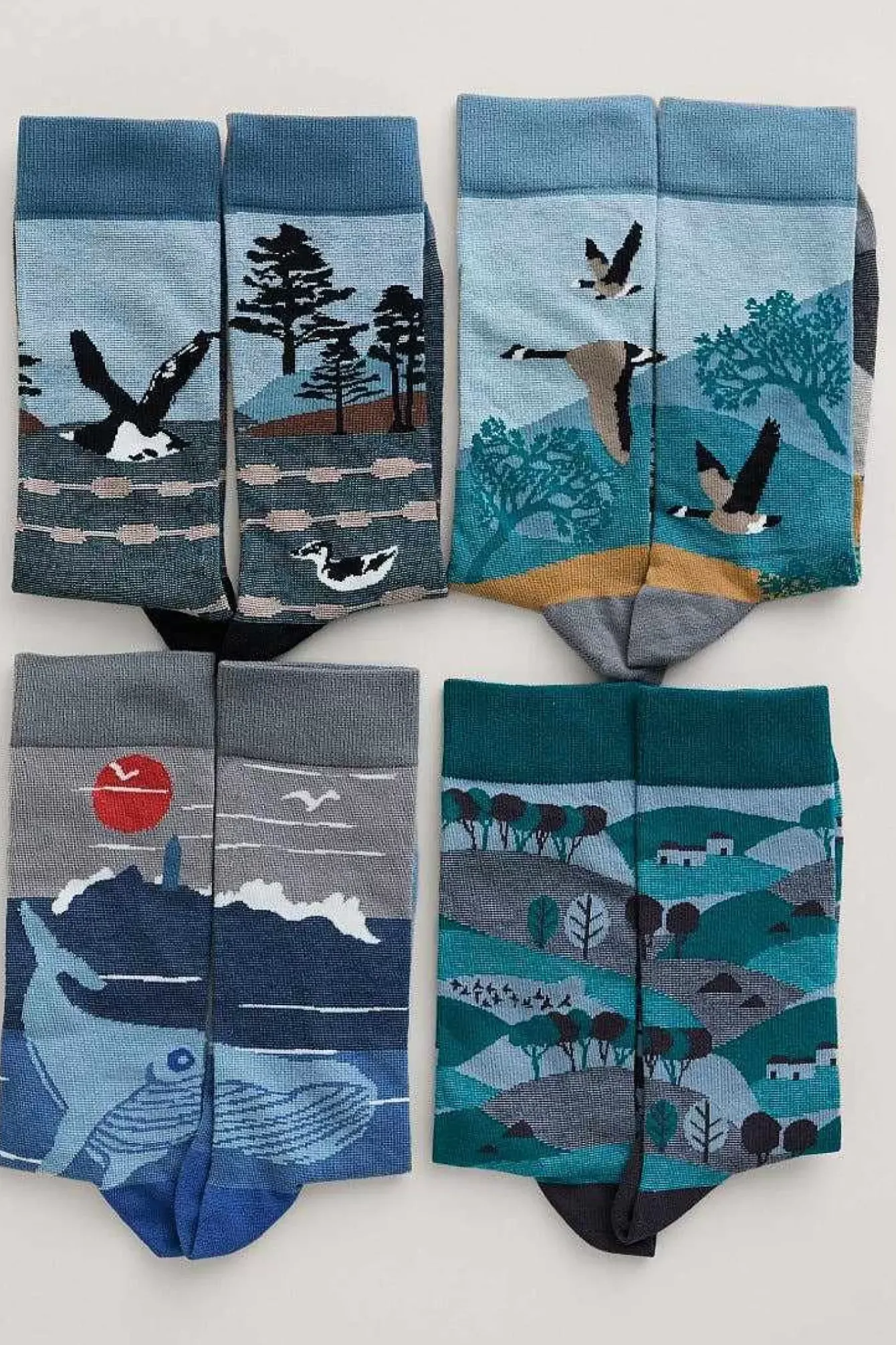 Seasalt Cornwall Socks<Box Of 4 Men's Postcard Socks Windyridge Mix