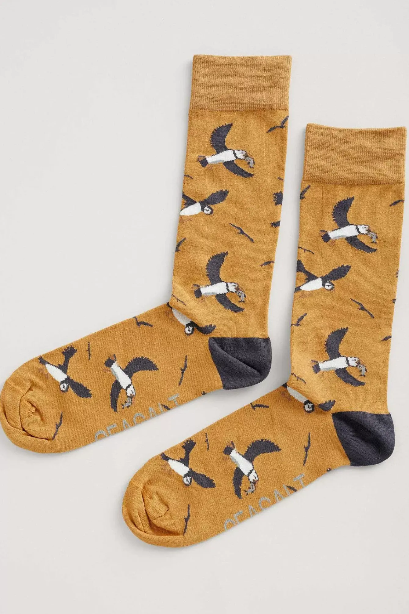 Seasalt Cornwall Socks<Men's Arty Organic Cotton Socks Spirit Sail Raincloud